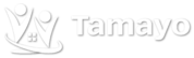 Tamayo Especialistas en Seguros